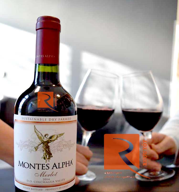 Rượu vang Chile Montes Alpha Merlot