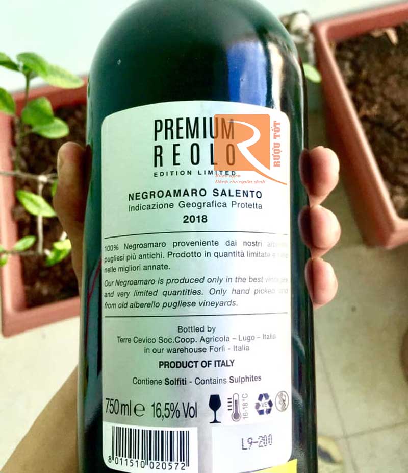 Rượu vang Q Premium Reolo