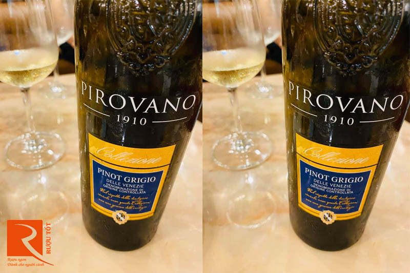 Rượu vang Ý Pirovano Pinot Grigio 13%vol