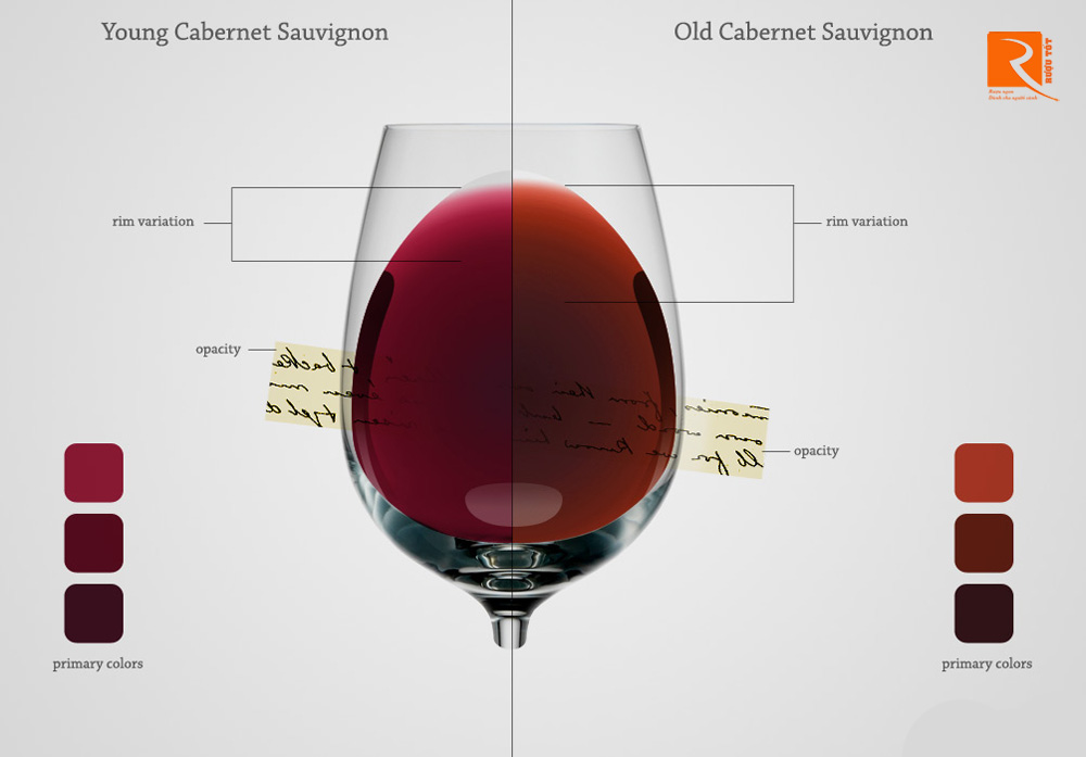 Những điều cần biết về màu sắc của rượu vang đỏ