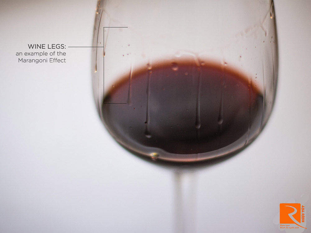 Wine Legs: Thuật ngữ về giọt rượu bám thành ly có ý nghĩa như thế nào?