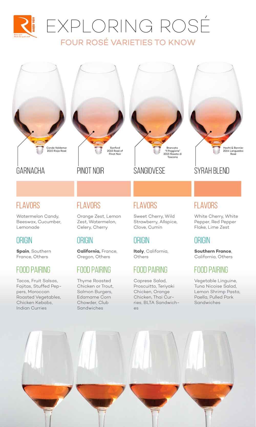 4 Loại rượu vang hồng từ những giống nho đặc sắc nhất