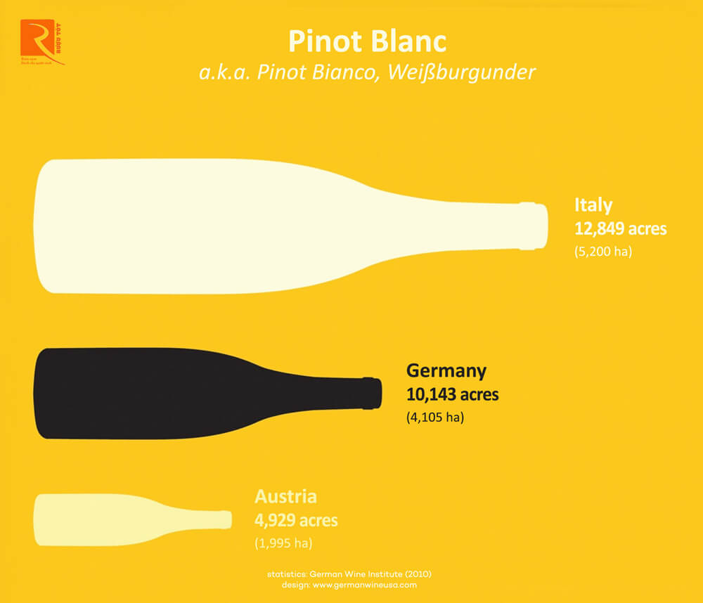 Pinot Blanc là một giống nho trắng tinh tế