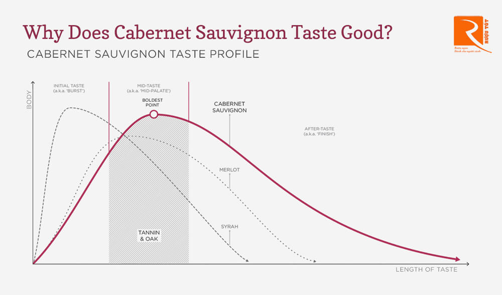 Tại sao Cabernet Sauvignon có vị rất ngon?