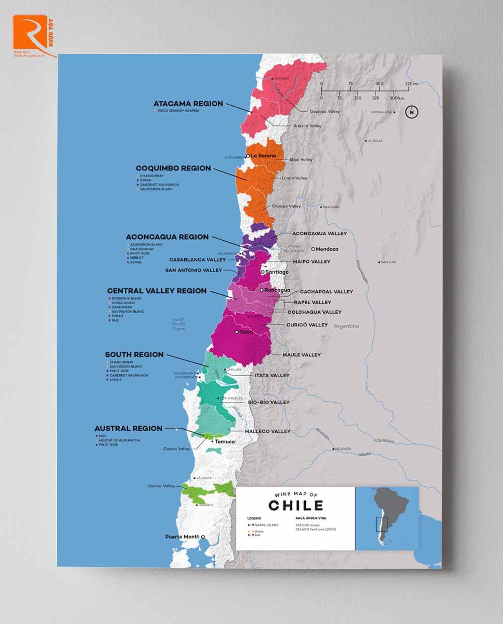 Rượu vang hàng đầu của Chile