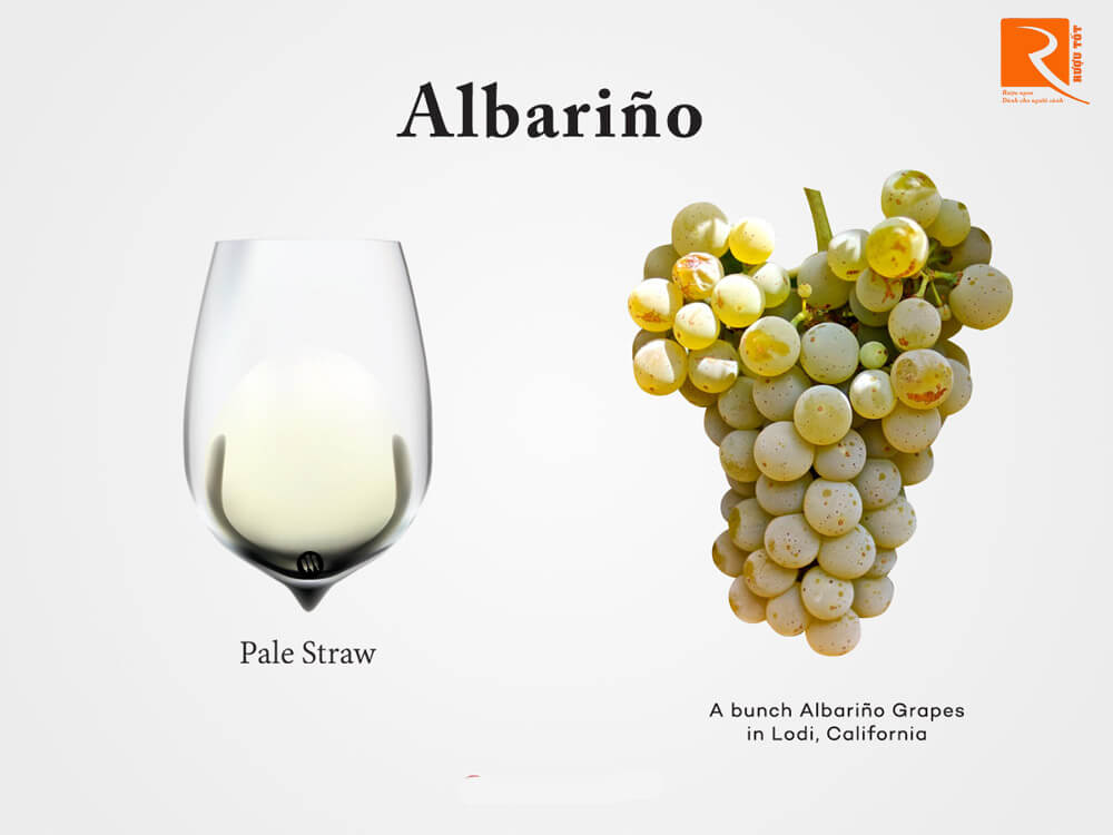 Hương vị của rượu vang Albariño