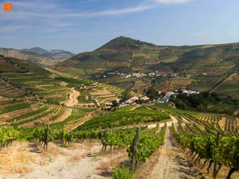 5 loại rượu vang Bồ Đào Nha khô ngon mà bạn nên biết