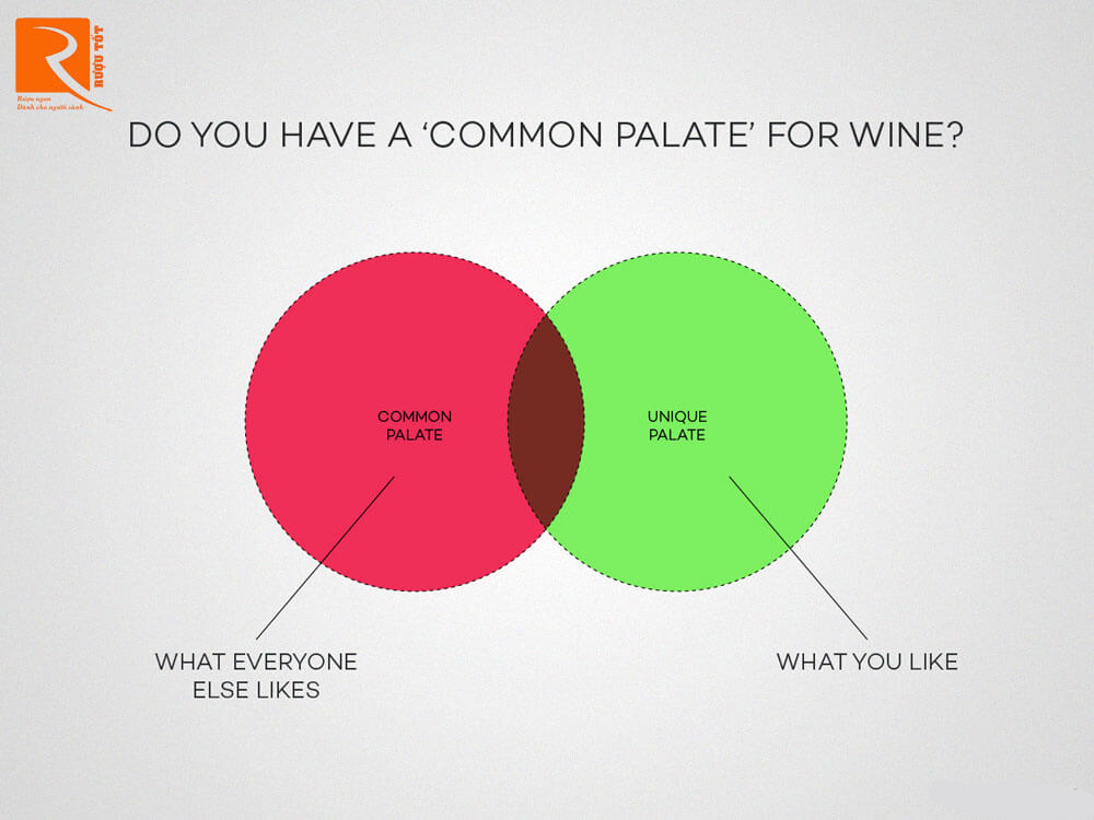 Bạn có cảm nhận hương vị của rượu vang thế nào?