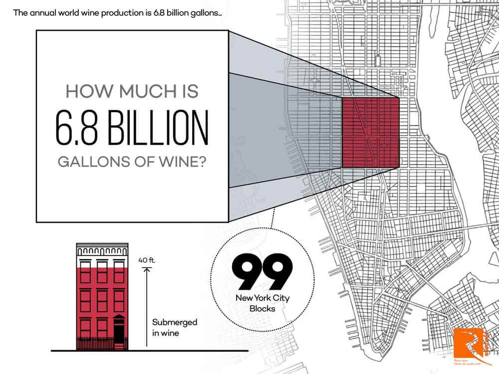 Các nước sản xuất rượu vang phát triển trên thế giới