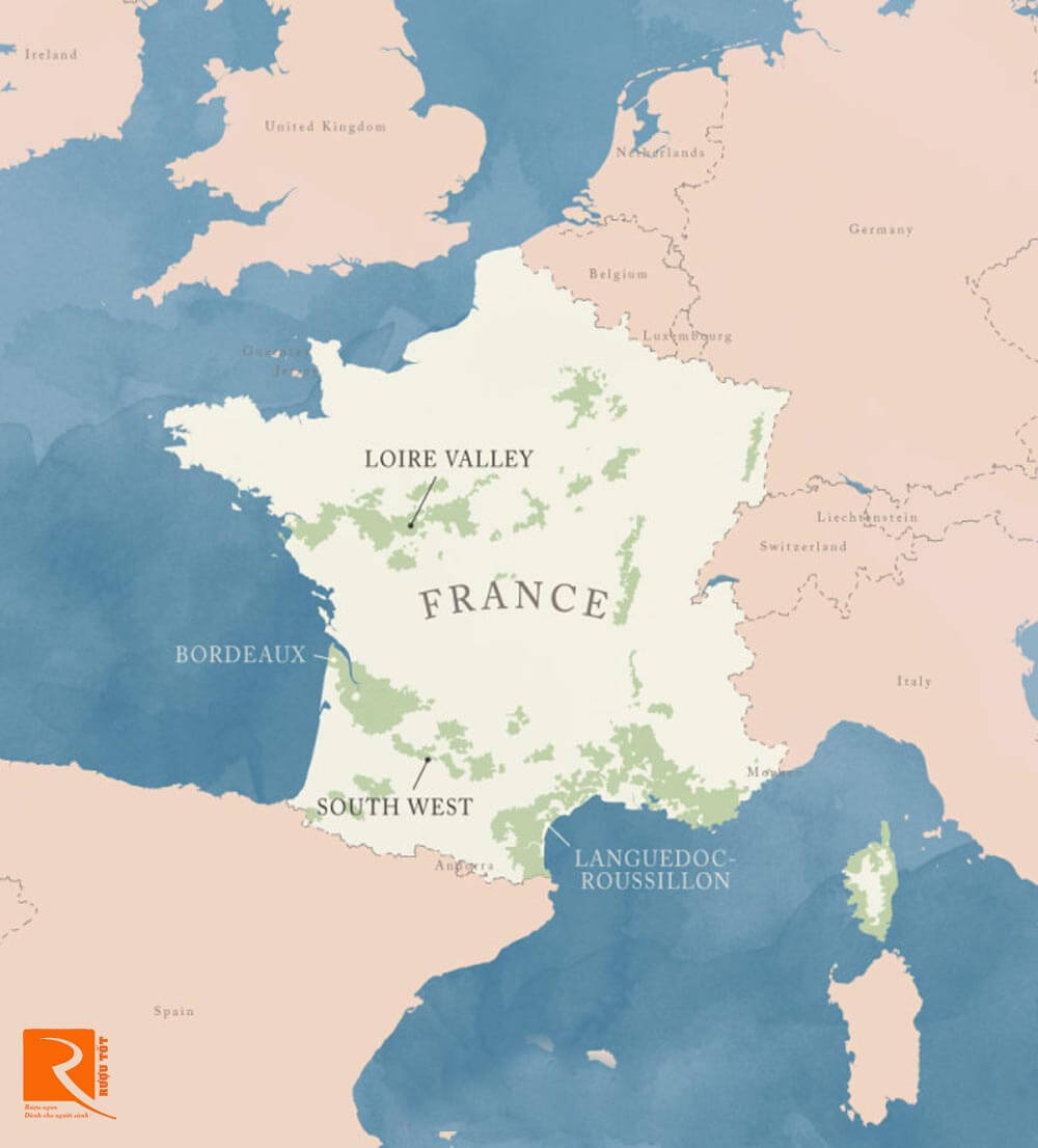 Pháp là nhà sản xuất Sauvignon Blanc lớn được phát triển chủ yếu ở Thung lũng.