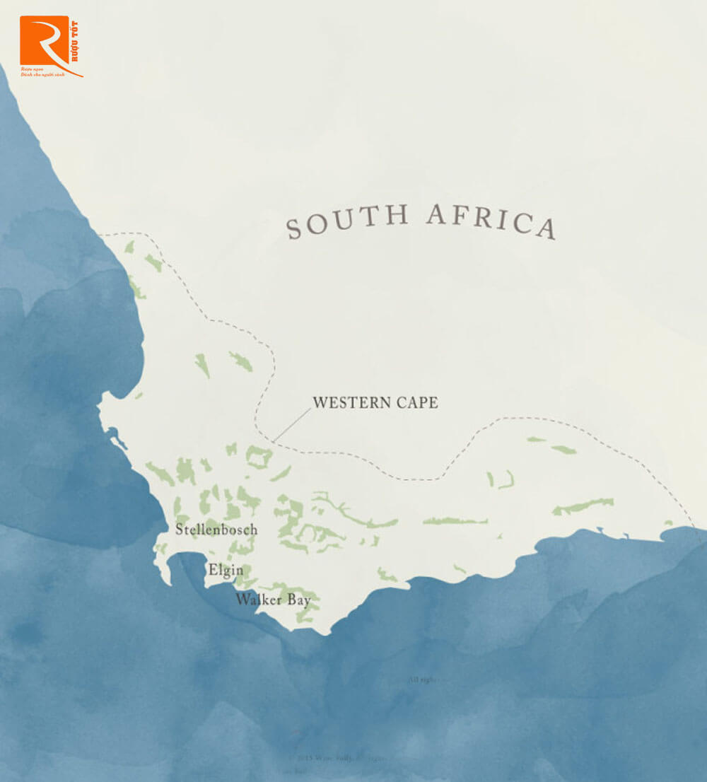 Nam Phi có khí hậu ấm áp khô ráo là khu vực sản xuất Sauvignon Blanc chất lượng cao.