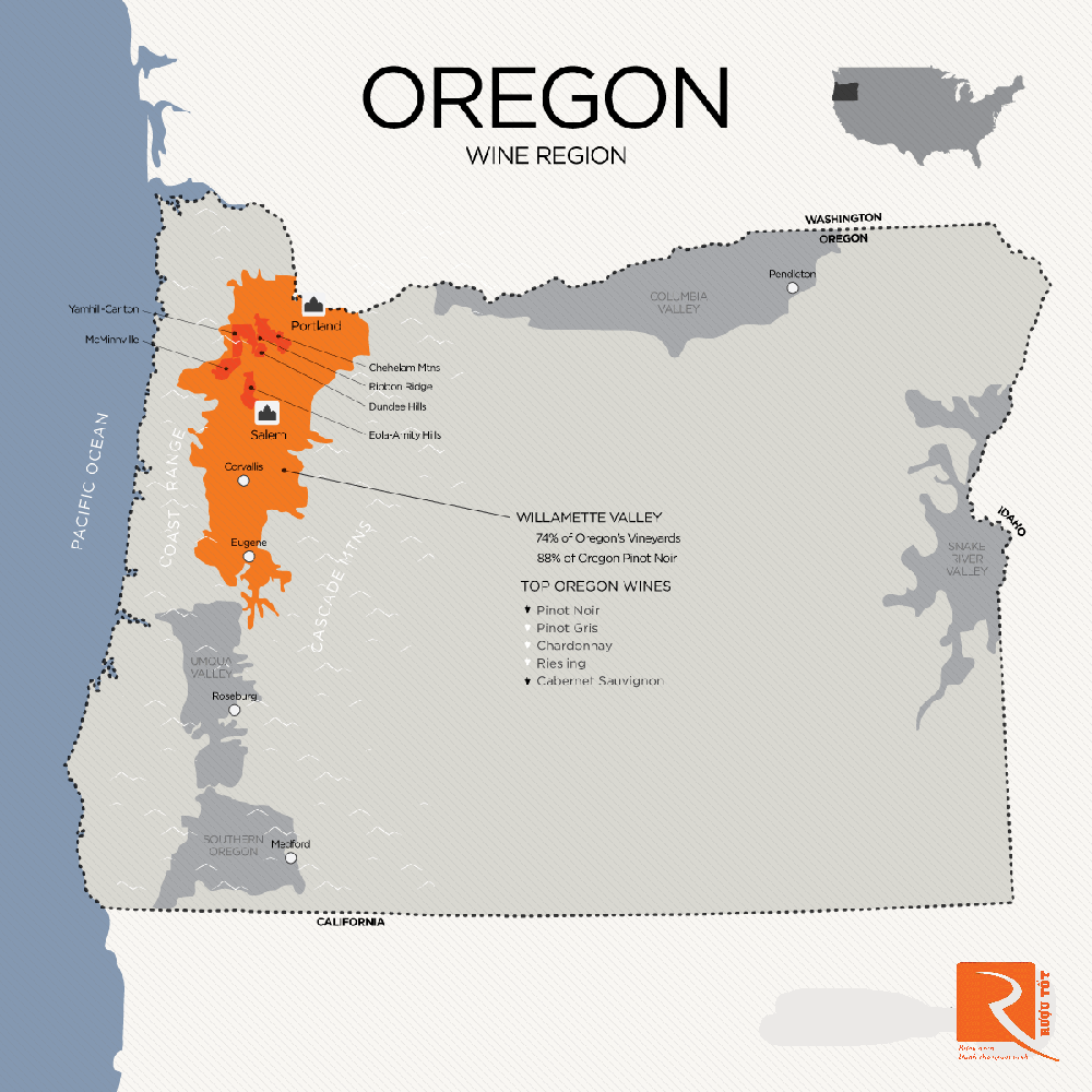 Nho Pinot Noir ở Oregon cho loại rượu vang nào tốt nhất?
