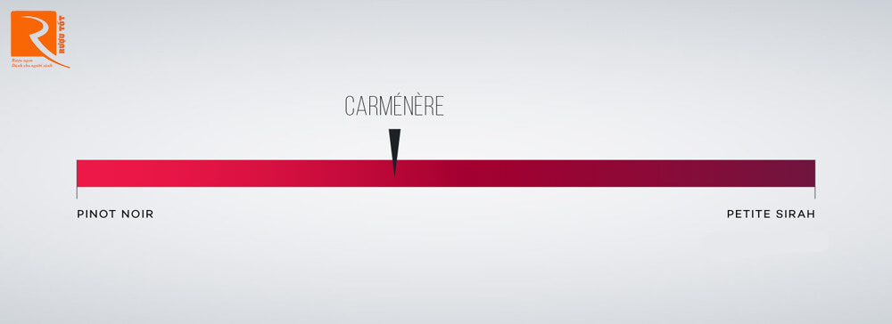 Carmenere là một loại rượu thực phẩm hàng ngày tuyệt vời vì nhiều lý do