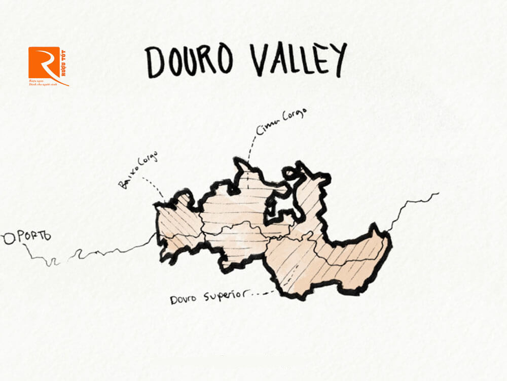 Nó phát triển ở Thung lũng Douro. 