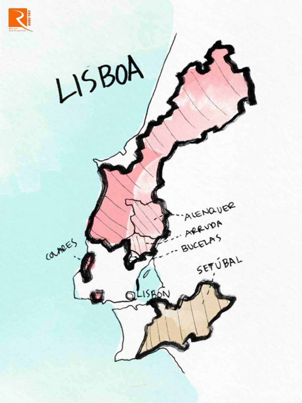 Một trong những khu vực năng động từ Lisbon về phía bắc dọc theo bờ biển. 