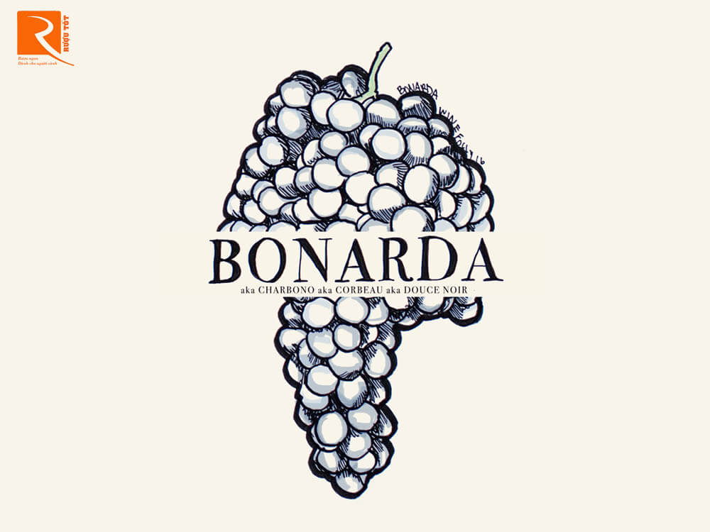 Bonarda ở Argentina là một loại nho khác với Bonarda từ Ý.