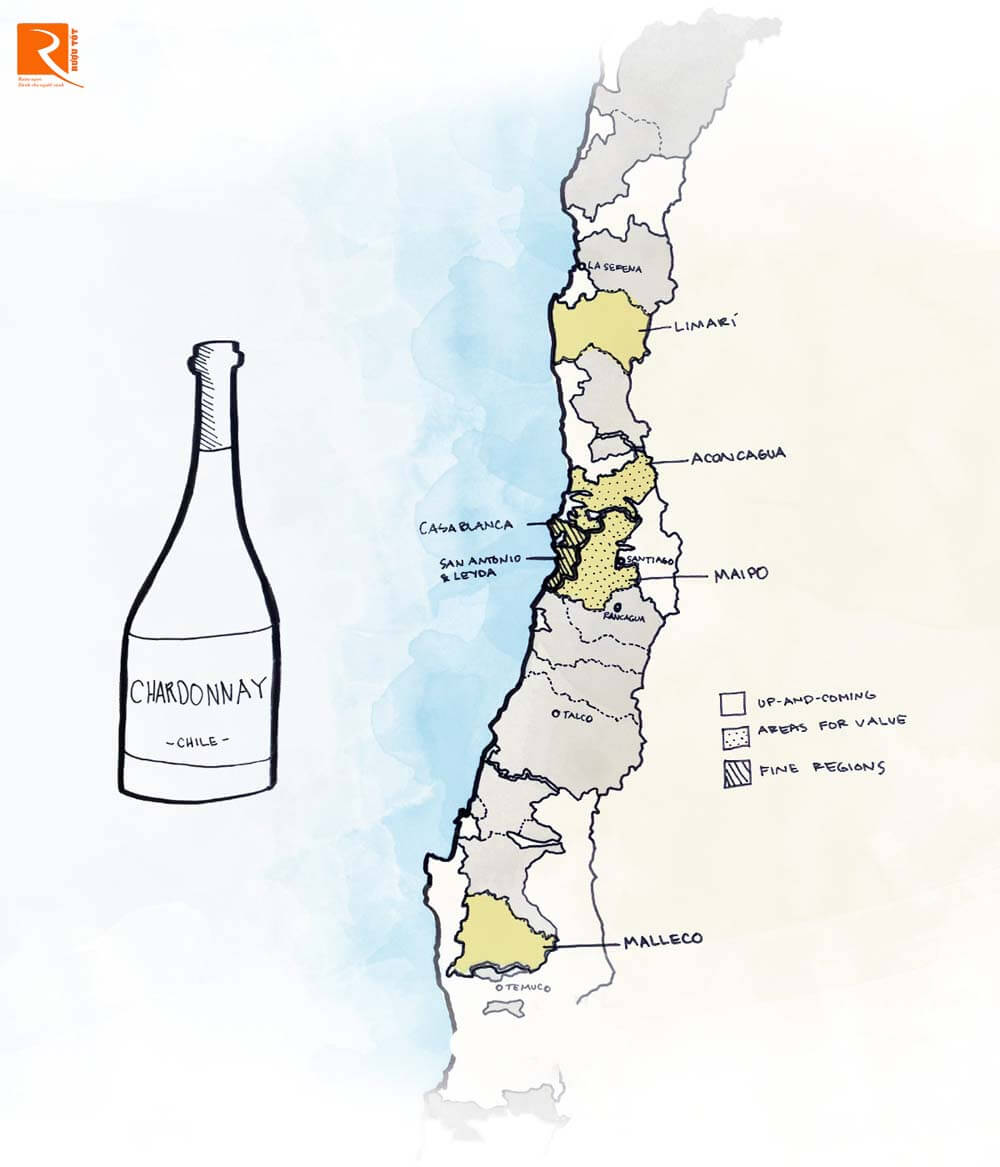 Chile Chardonnay mang đến hương vị trái cây nhiệt đới ở California Chardonnay. 