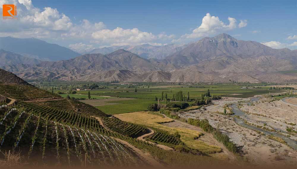 Vùng rượu vang Aconcagua trải dài từ bờ biển nội địa và khu vực dành cho các giống nho.