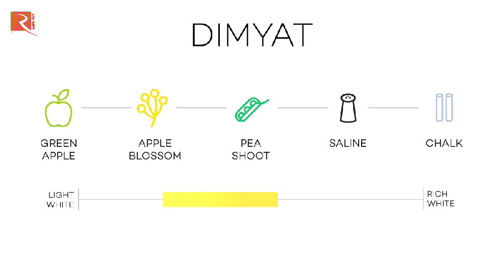 Dimyat có liên quan đến Chardonnay và Aligote bởi giống nho tổ tiên Gouais Blanc.
