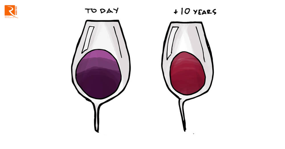 Khi rượu vang đỏ già đi, chúng trở nên nhạt màu hơn.