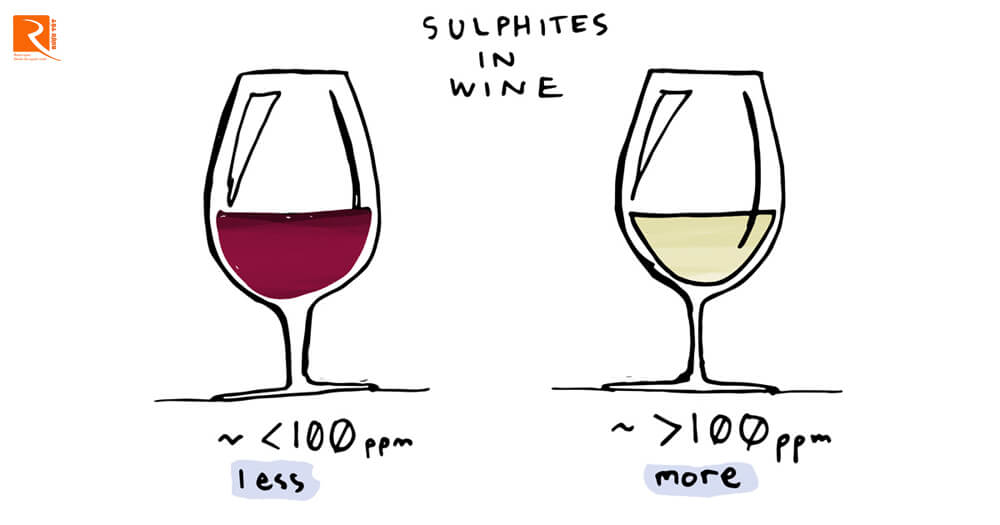 Rượu vang đỏ thường chứa ít sulfites hơn rượu vang trắng.