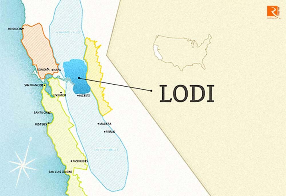Tìm hiểu về rượu vang vùng Lodi rộng lớn.