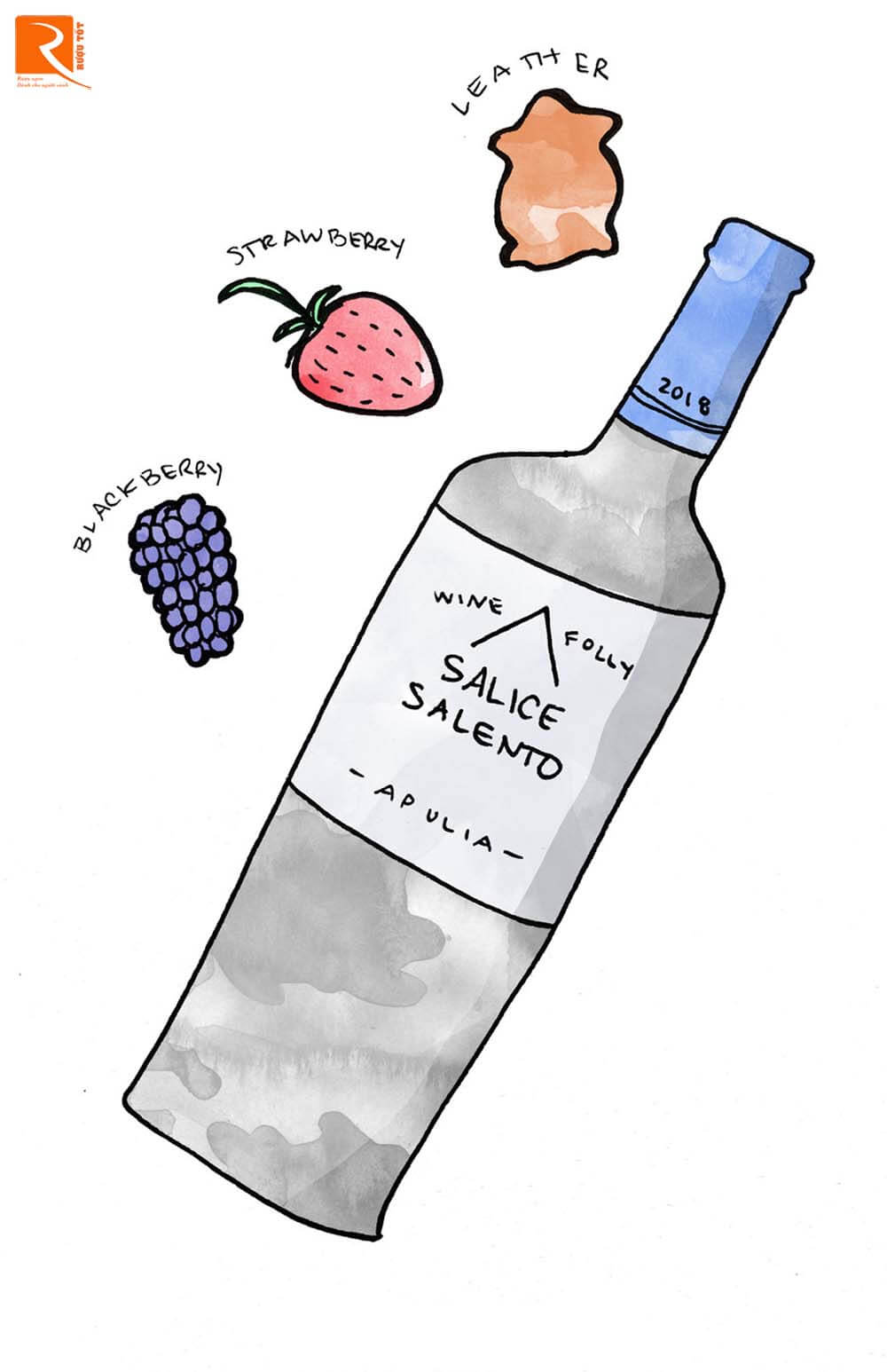 Di truyền của Zinfandel, giống nho Puglian này tạo ra các loại rượu vang có độ cồn cao và đầy đủ.