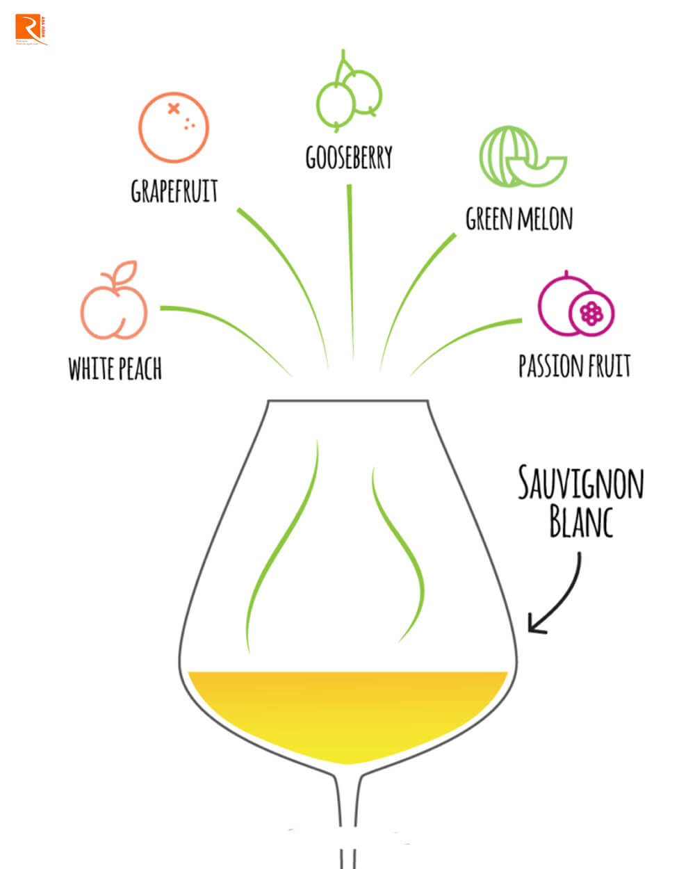 Hương vị Sauvignon Blanc