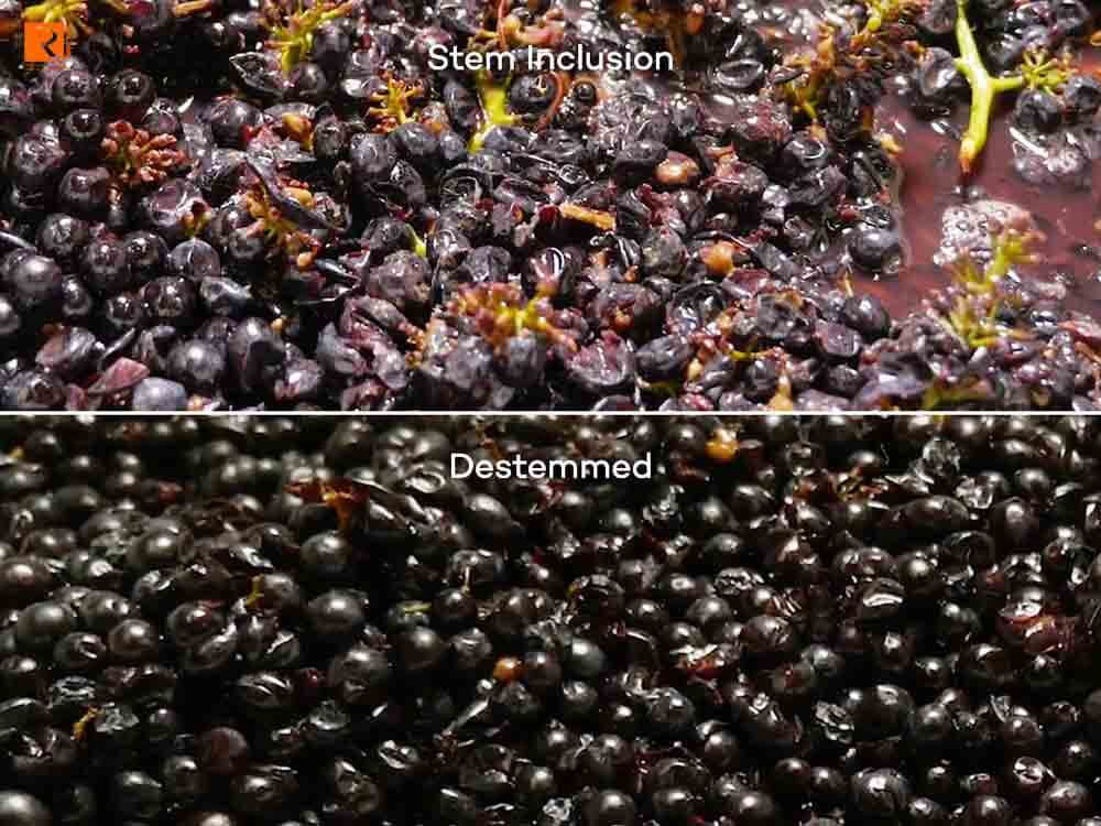 Nho rượu vang đỏ với vỏ mỏng hơn và tannin mềm thường được lên men với vỏ để thêm tannin và phenolics.