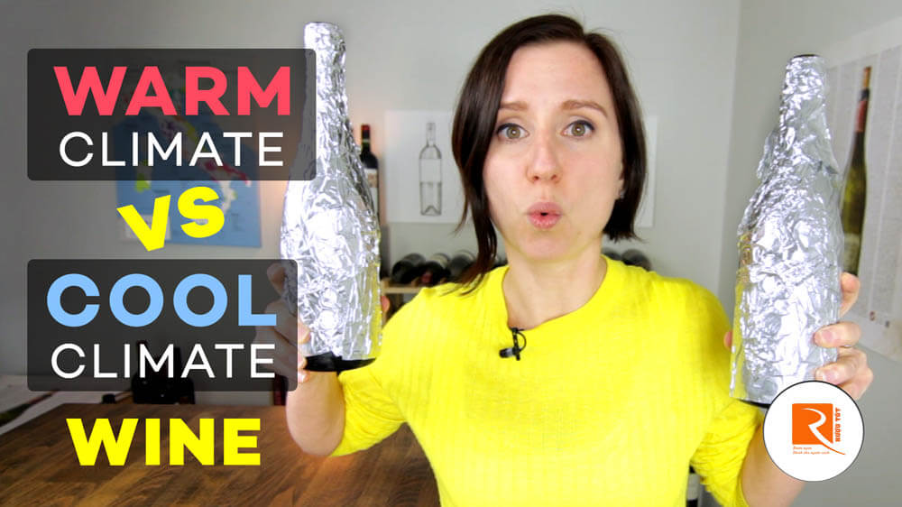 Nhiệt độ ảnh hưởng đến nho làm rượu vang thế nào?