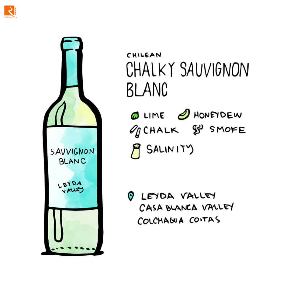Chalky Sauvignon Blanc