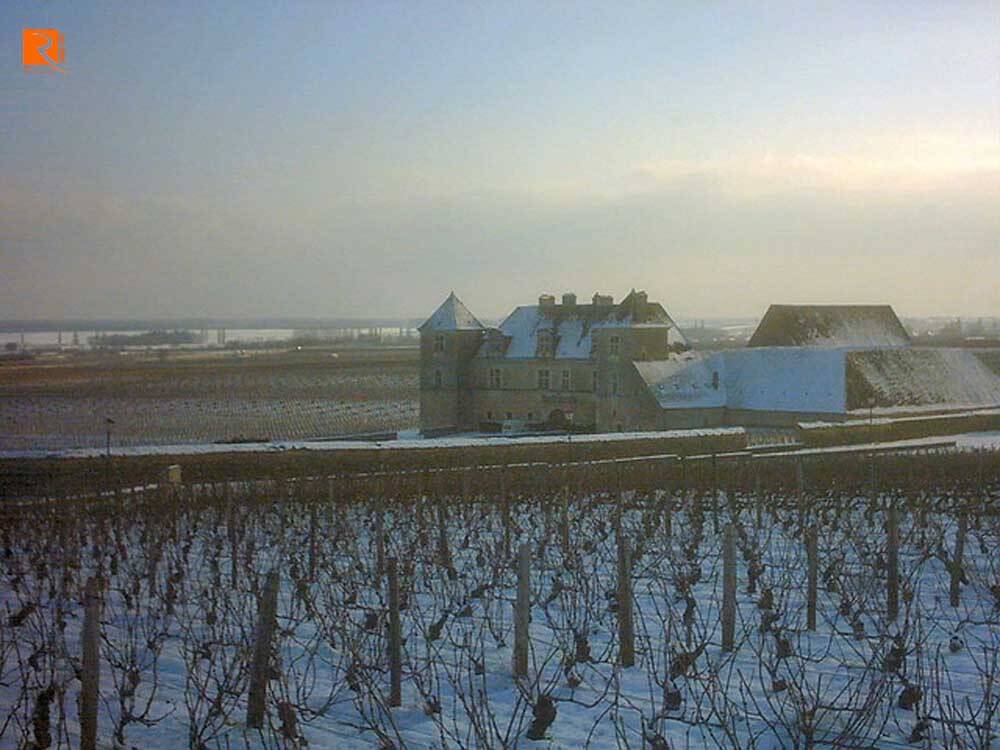 Burgundy được biết đến là khu vực canh tác ban đầu cho pinot noir nên rượu này có nhu cầu cao.