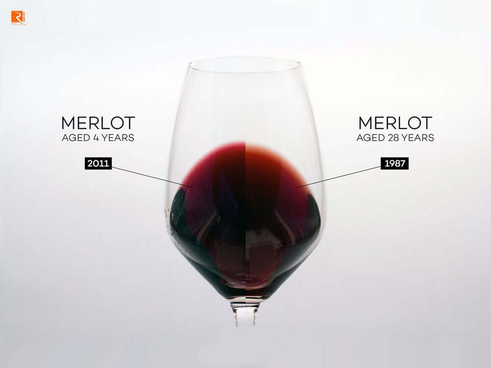 Những gì có được trong Rượu Merlot