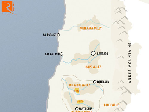 Nho Cabernet Sauvignon của Chile trồng ở những khu vực nào?