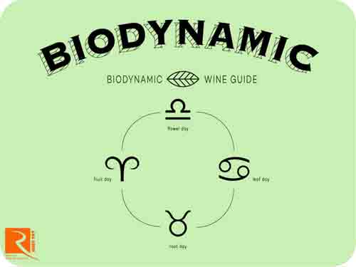 Bạn hiểu thế nào về rượu vang Biodynamic