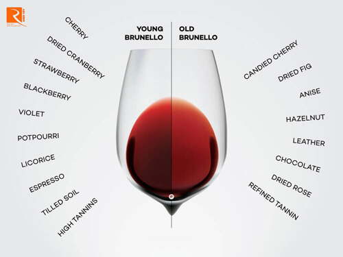 Rượu Brunello di Montalcino đáng để chờ đợi như thế nào?