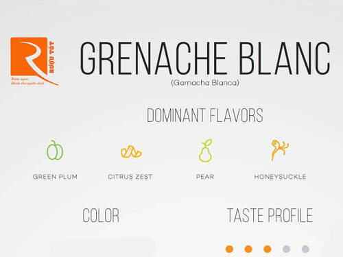 Khám phá cơ bản về giống nho làm rượu vang Grenache Blanc.