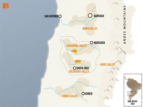 Tìm hiểu về nho rượu vang Cabernet Sauvignon ở Chile.