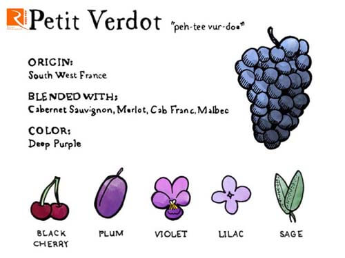 Vì sao bạn nên uống Petit Verdot?