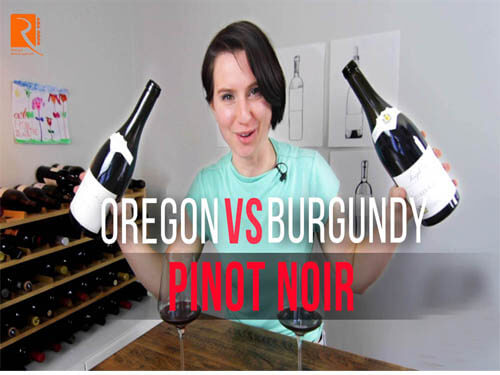 Nho Pinot Noir ở vùng Oregon khác với Burgundy thế nào?