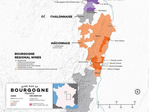 Hướng dẫn cơ bản về vùng rượu vang Burgundy mà bạn nên biết.