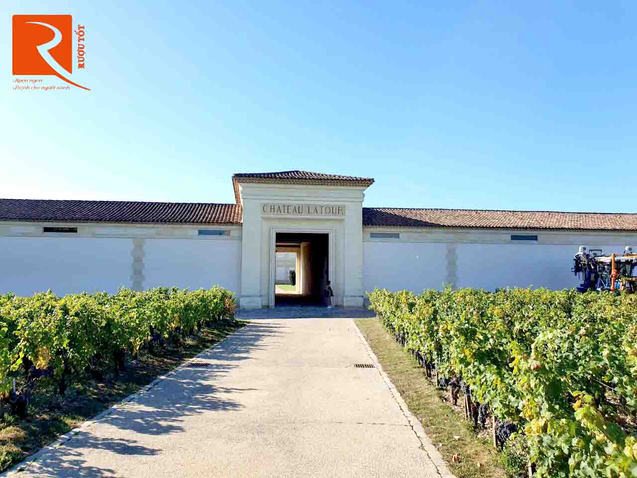 Thăm quan nhà làm rượu vang Chateau Latour - Vườn trồng nho rộng lớn nhất ở đây!