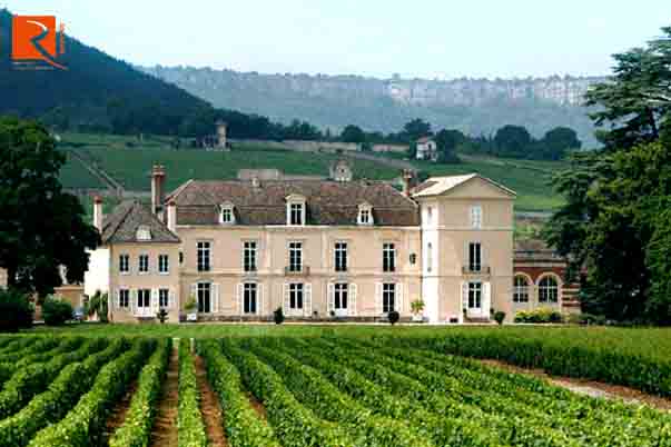 Chuyến thăm lâu đài Chateau de Meursault - một trong những địa danh cổ kính nhất ở Burgundy