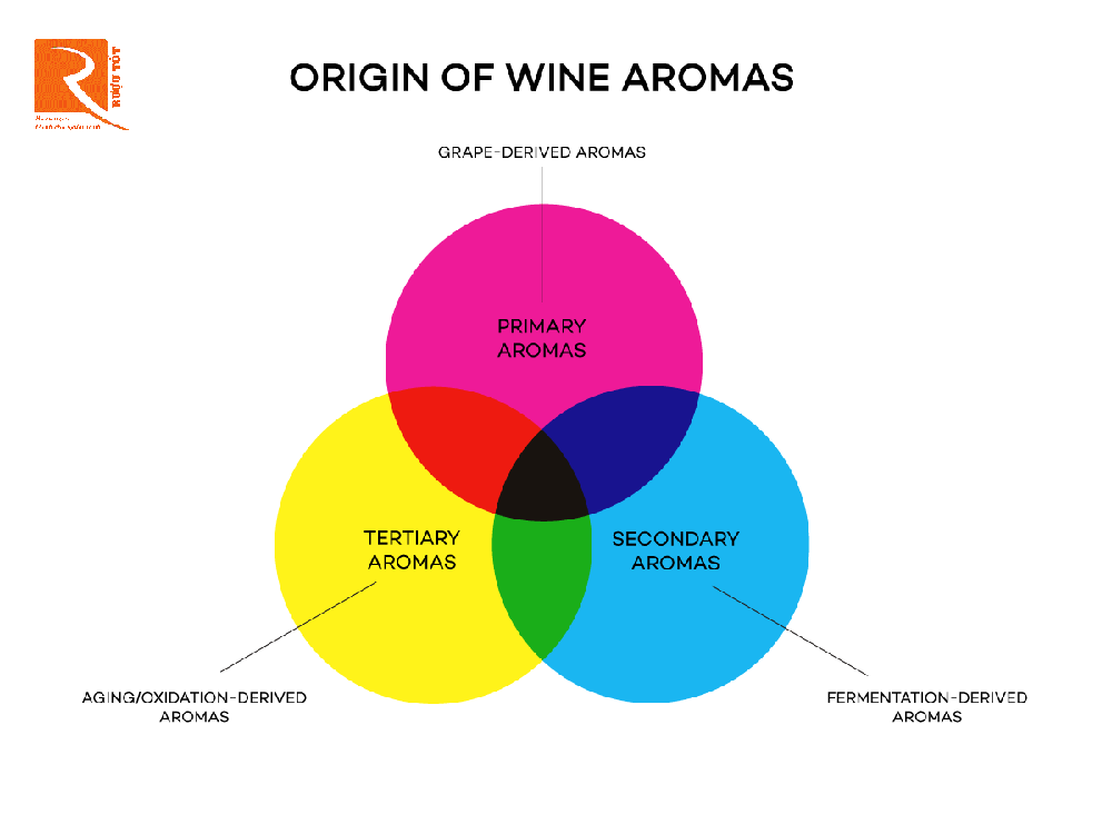 Ba hương liệu kết hợp tạo nên rượu vang