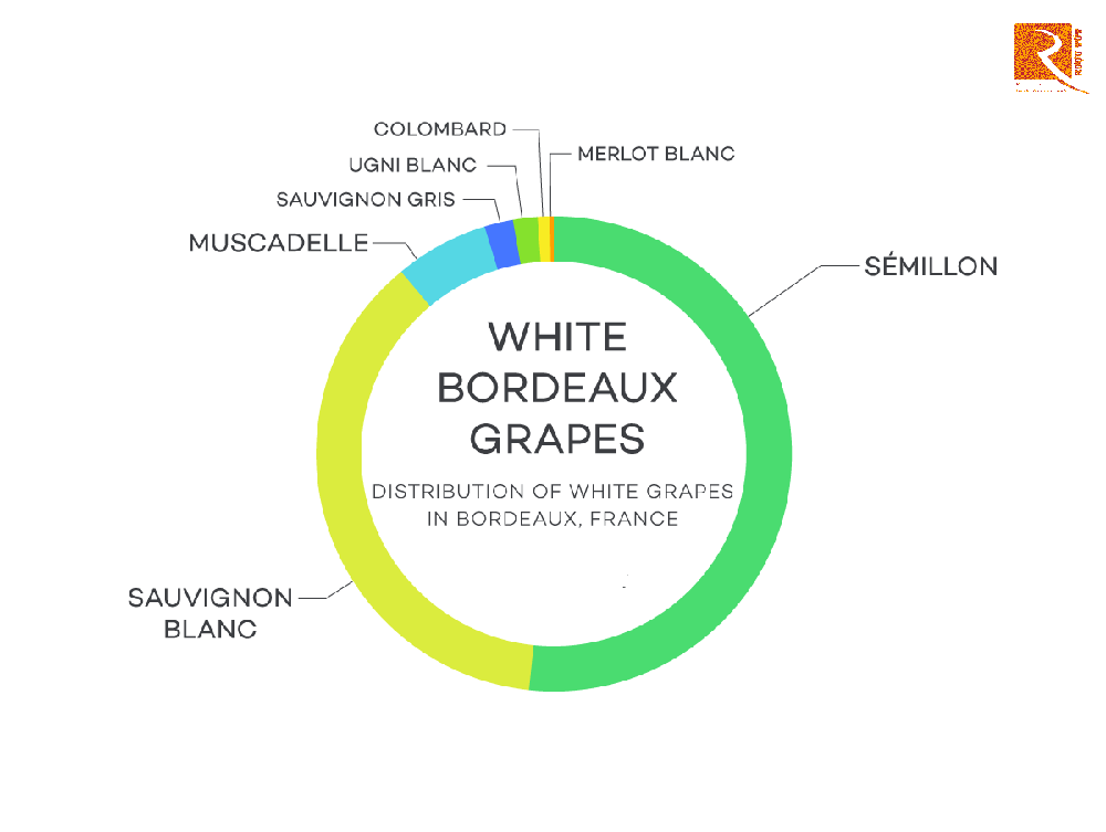 Giống nho nào tạo nên một sự pha trộn của Bordeaux?