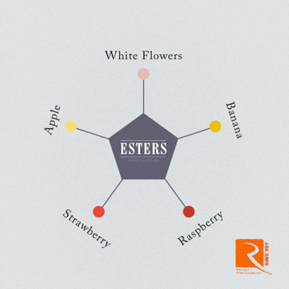 Esters: Hương vị của trái cây và hoa.