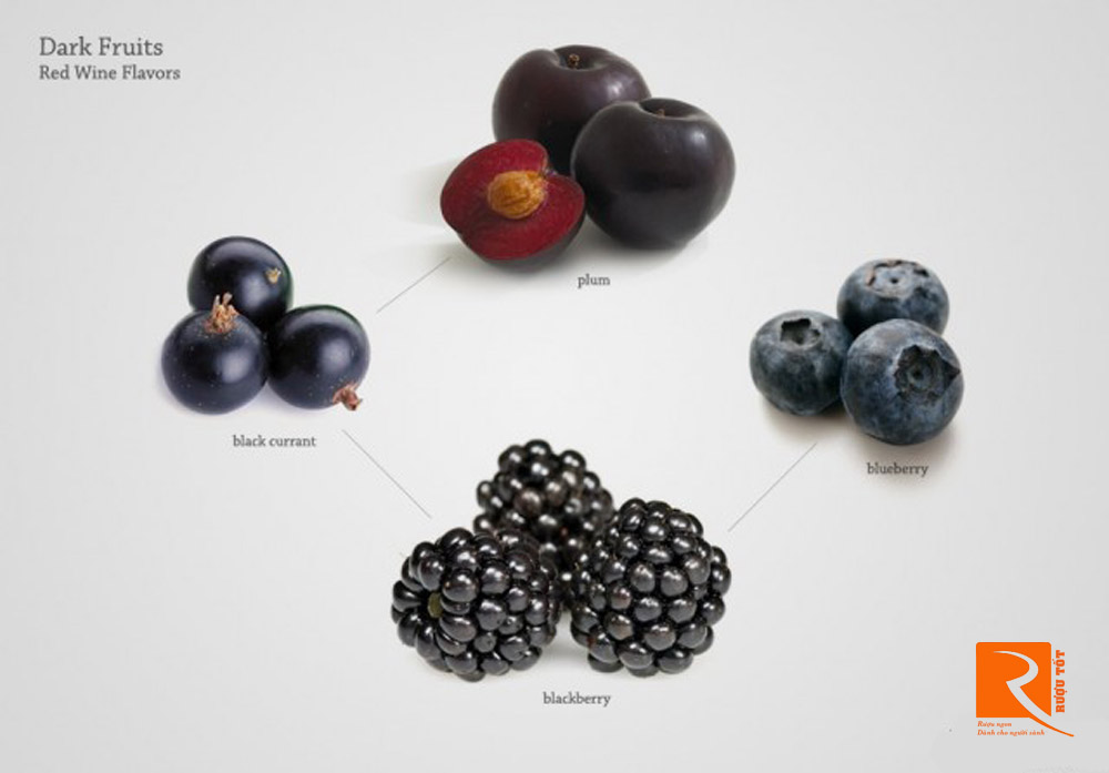 Hương vị về trái cây đen trong rượu vang các loại.