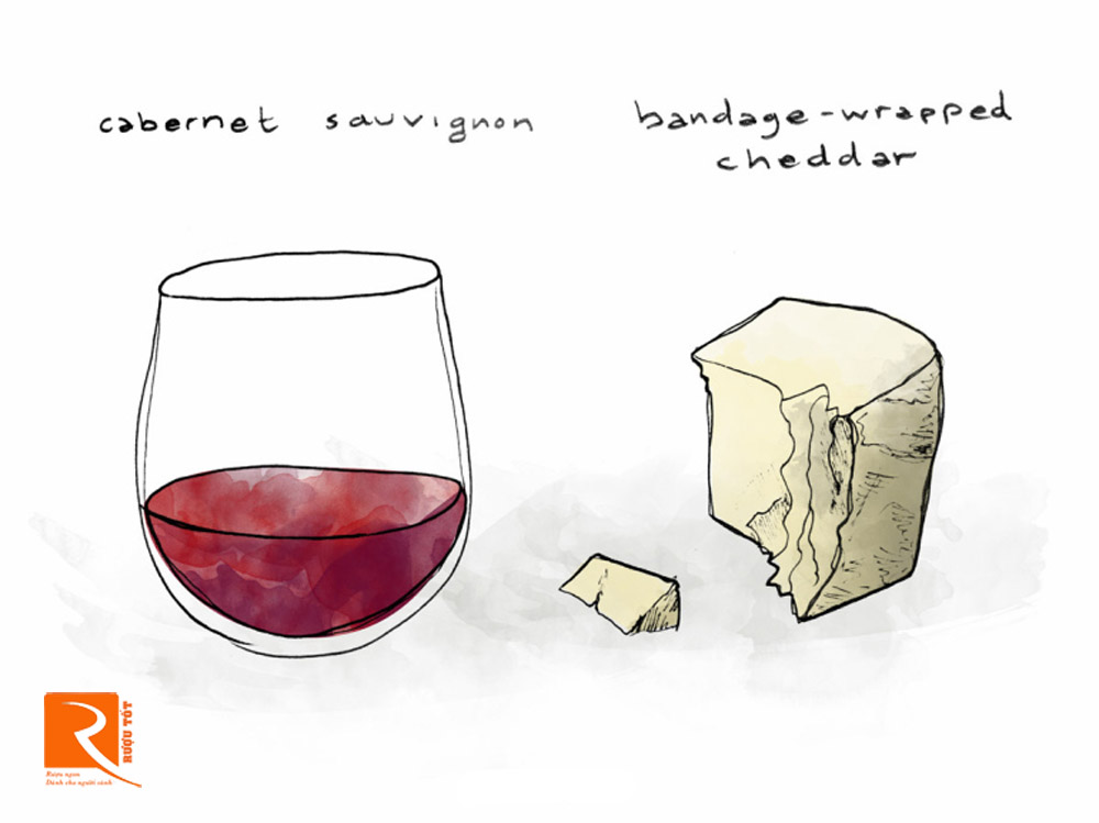Cabernet Sauvignon là rượu vang đỏ kết hợp với phomat Badage cheddar