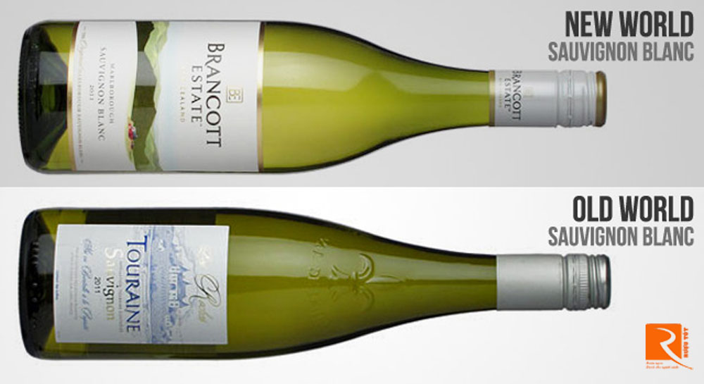 Sauvignon Blanc ở Loire và Sauvignon Blanc ở new Zealand.