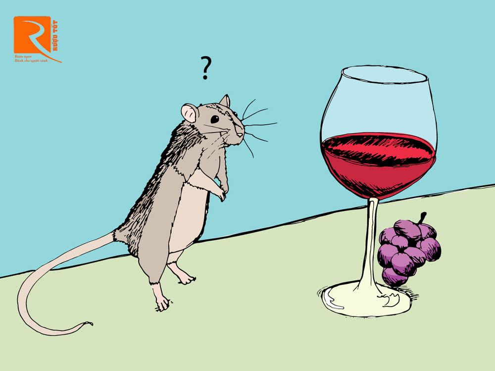 Những dòng rượu vang đỏ nào có tác dụng giảm cân?
